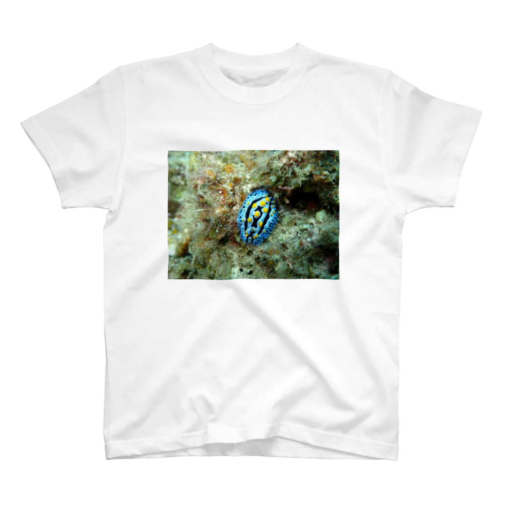 海の家のソライロイボウミウシ Phyllidia coelestis スタンダードTシャツ