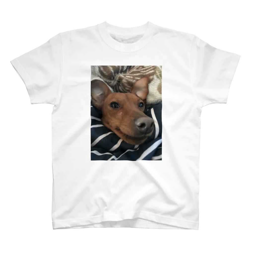 DJ美食倶楽部のムカつく犬の顔のTシャツ スタンダードTシャツ