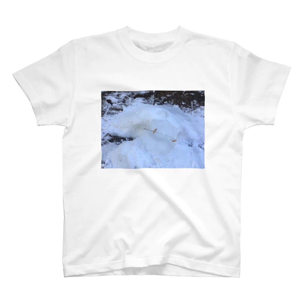 AMEの雪 Regular Fit T-Shirt