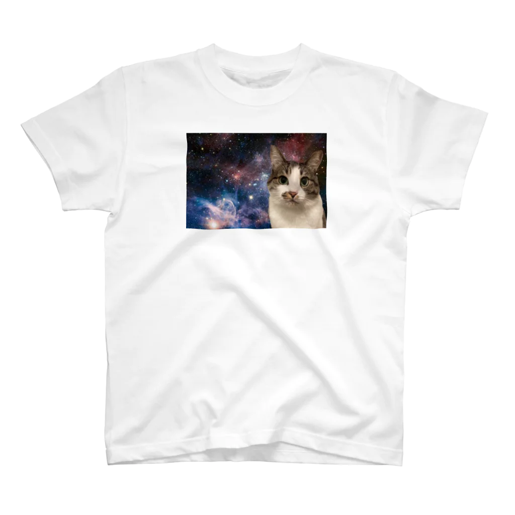 ナスビ仮面のうちの猫あおさ スタンダードTシャツ