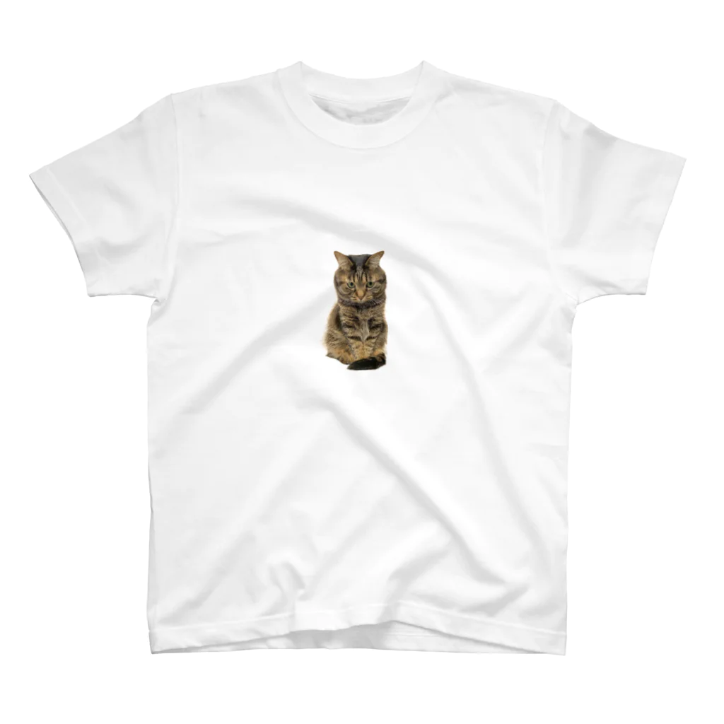 KITTOのもじもじ猫きっと スタンダードTシャツ