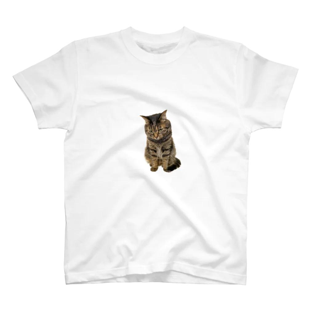 KITTOのもじもじ猫きっと スタンダードTシャツ