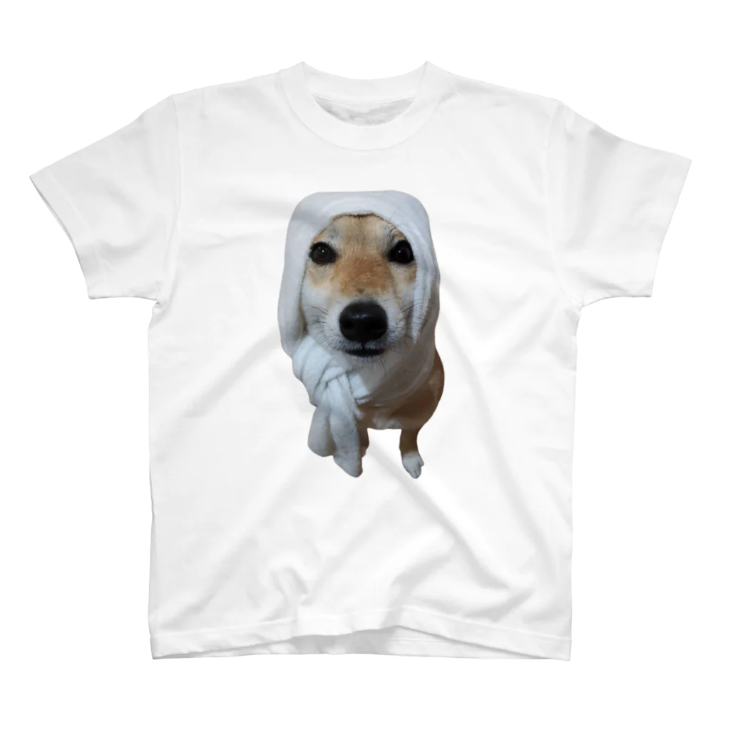 川村さん家の柴犬コロちゃんの湘南のころちゃん スタンダードTシャツ