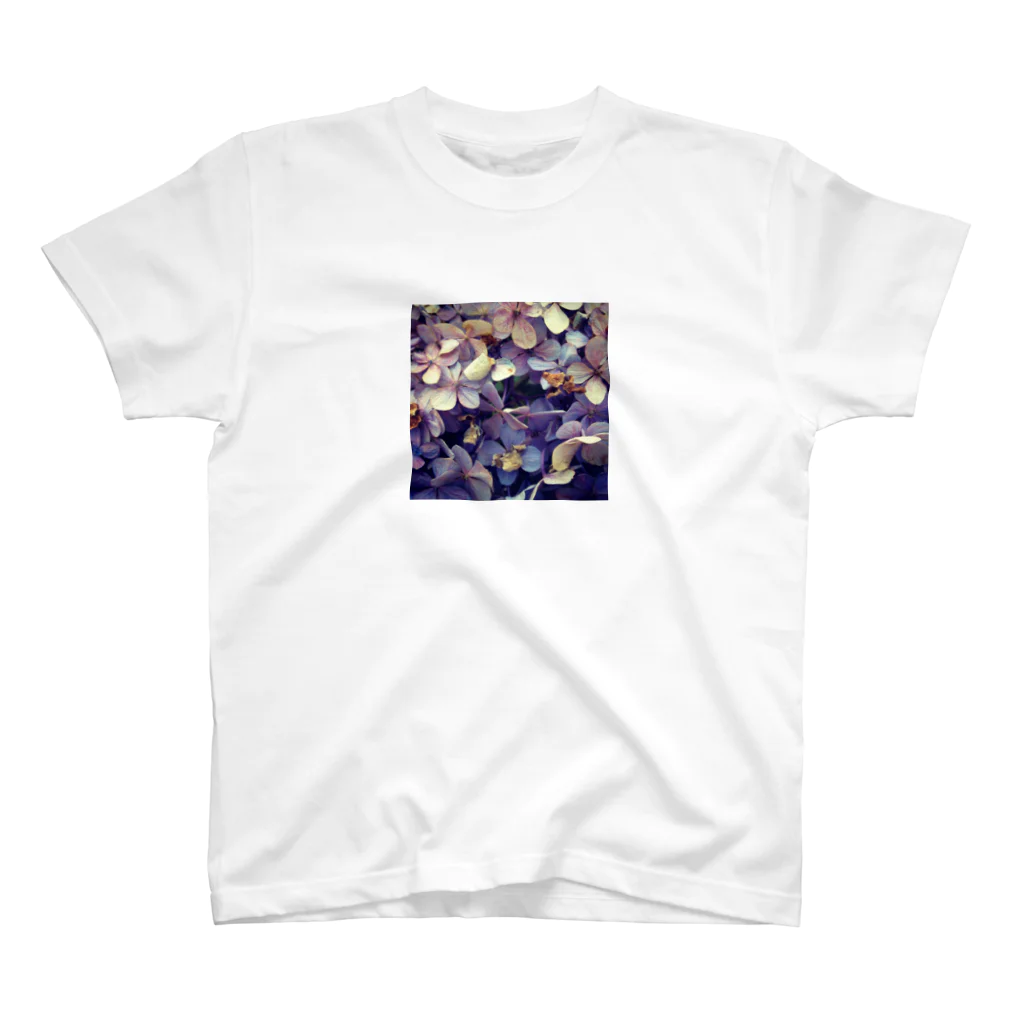 nostalgia のhydrangea スタンダードTシャツ