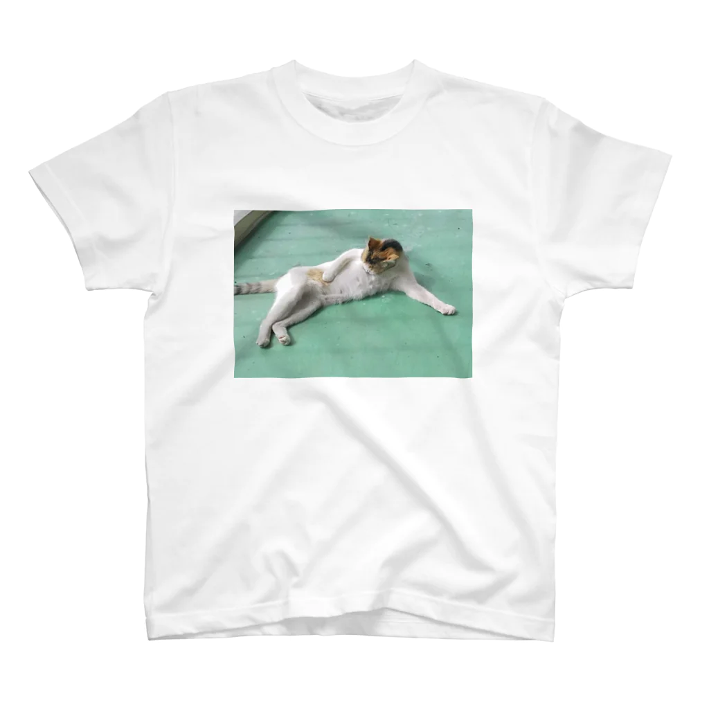DancingStoneShopの野良猫たまりん Regular Fit T-Shirt