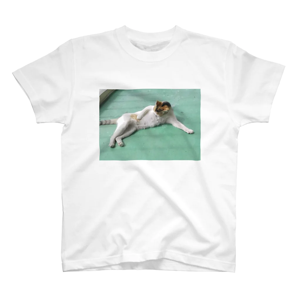 DancingStoneShopの野良猫たまりん スタンダードTシャツ