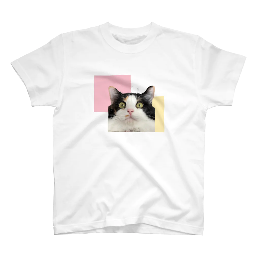 三毛猫の朝と黒猫の夜@好奇心倶楽部の朝は宇宙人と交信中 スタンダードTシャツ