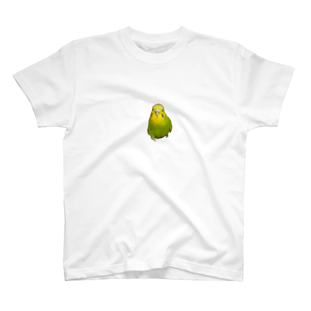 セキセイインコのアルとテンのジト目のテンちゃん スタンダードTシャツ