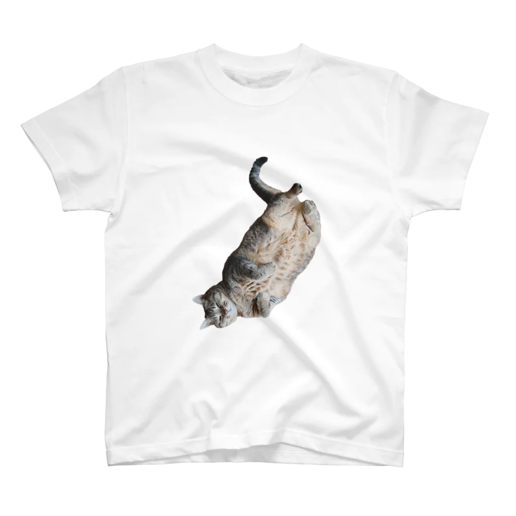 城の3月17日の落ちてる猫です スタンダードTシャツ