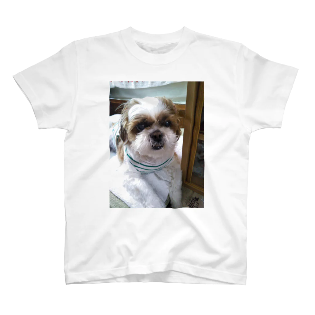 うさ子のおネエのショップのシー・ズー犬　ムクりん スタンダードTシャツ