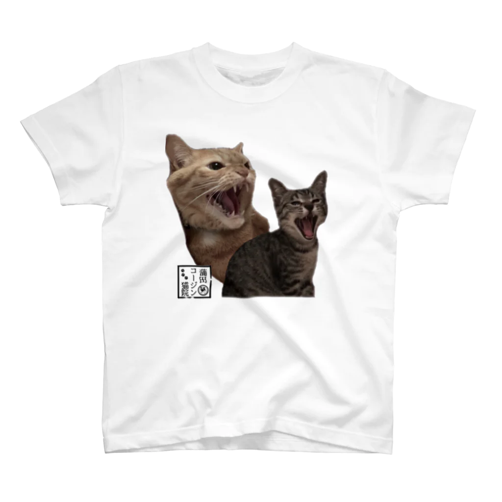 蒲田コージン猫院🐈‍⬛心霊内科👼のリアル副助手's スタンダードTシャツ