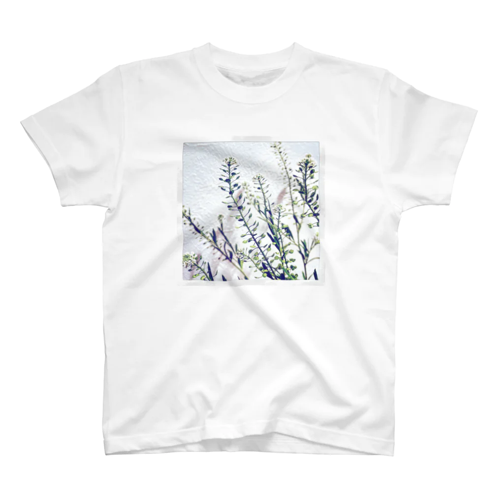 blancillaの揺れる花 スタンダードTシャツ