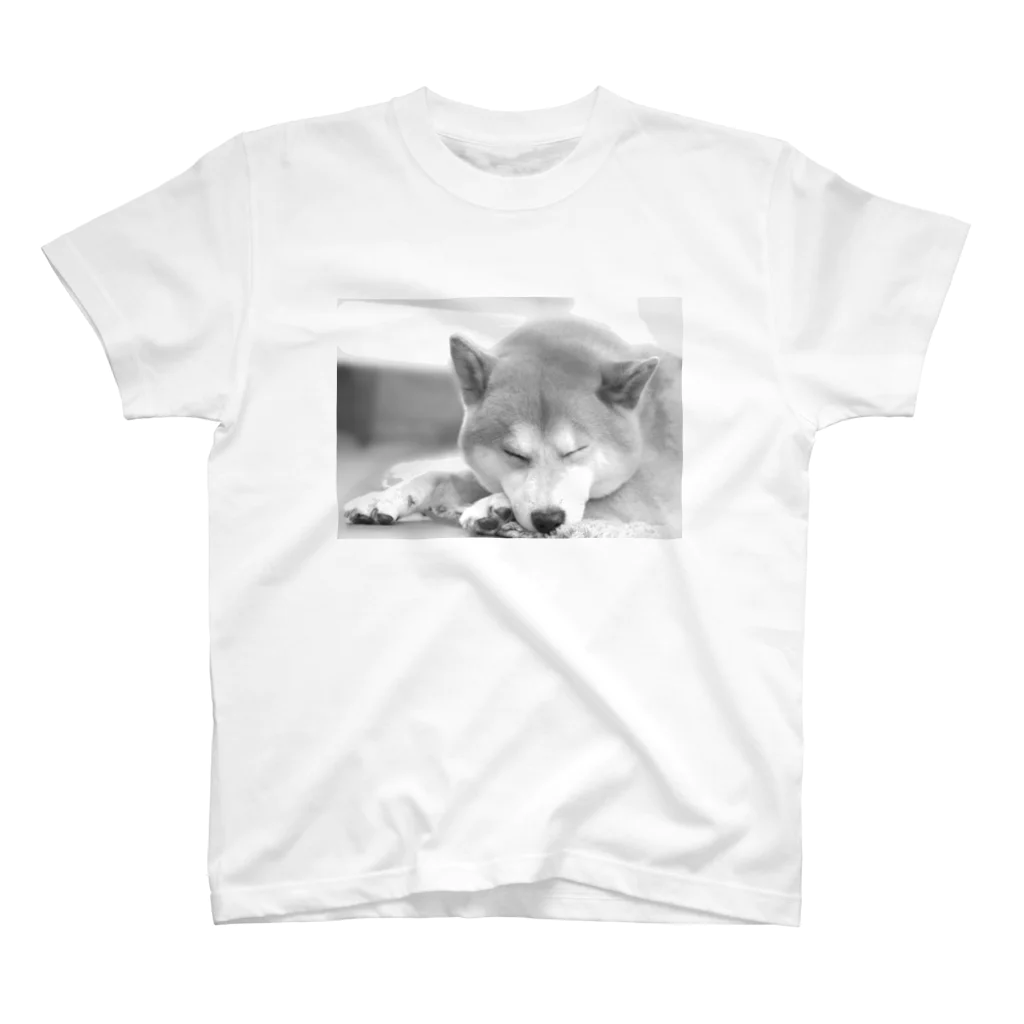 柴犬りゅうの眠り柴犬 Regular Fit T-Shirt