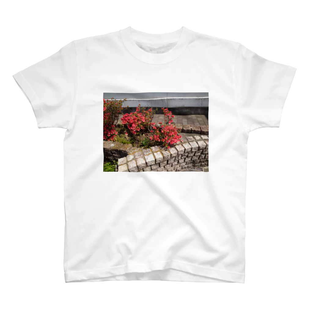 まち子宗形のツヅジの花 スタンダードTシャツ