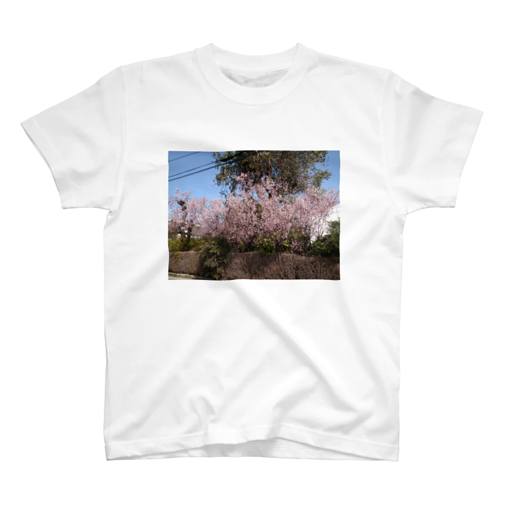 まち子宗形の桜の木 Regular Fit T-Shirt