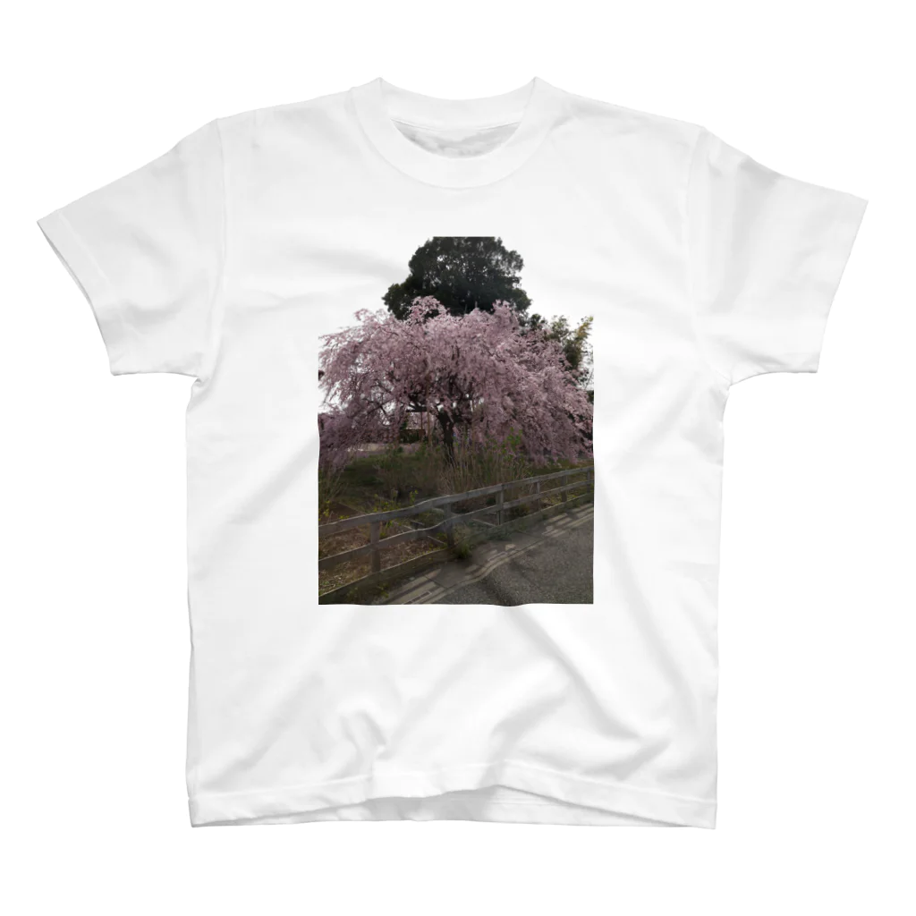 まち子宗形のしだれ桜 Regular Fit T-Shirt