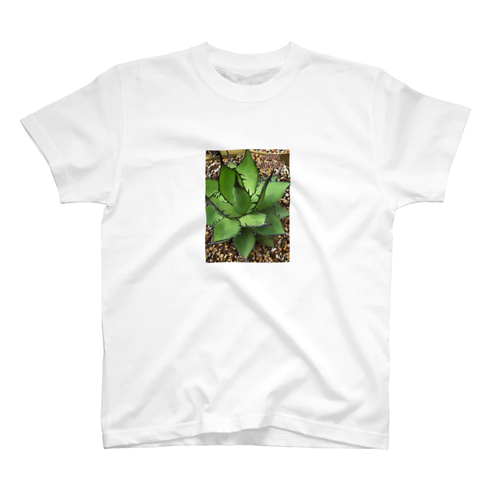 シアン猫の植物図鑑のアガベ ホリダ(加工Ｖｅｒ．) スタンダードTシャツ