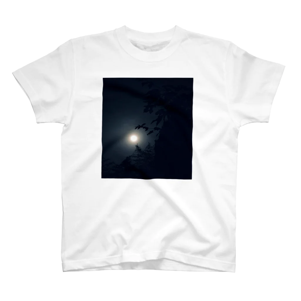 Lovebirdsの月夜の晩に スタンダードTシャツ