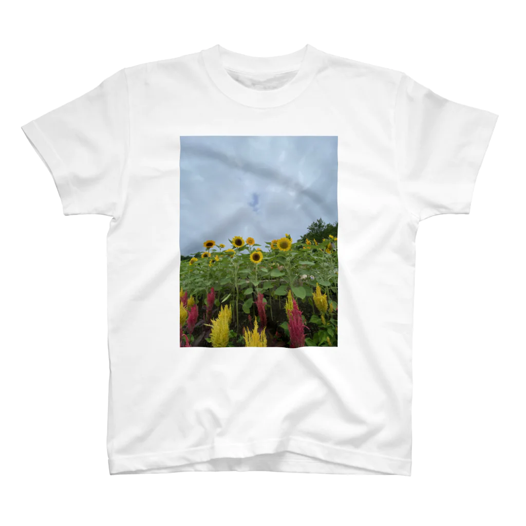 maaasanの向日葵とケイトウ スタンダードTシャツ