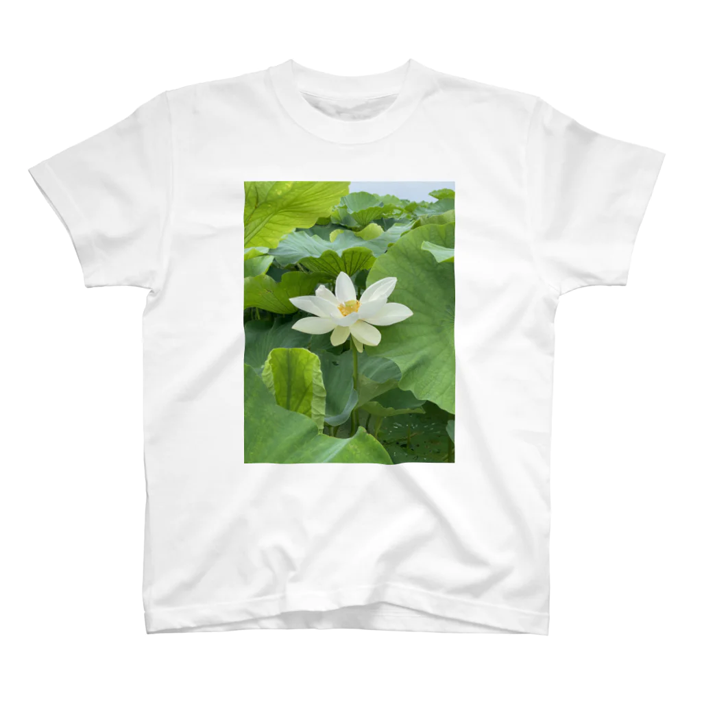 櫻井レンコンのレンコンの花 Regular Fit T-Shirt