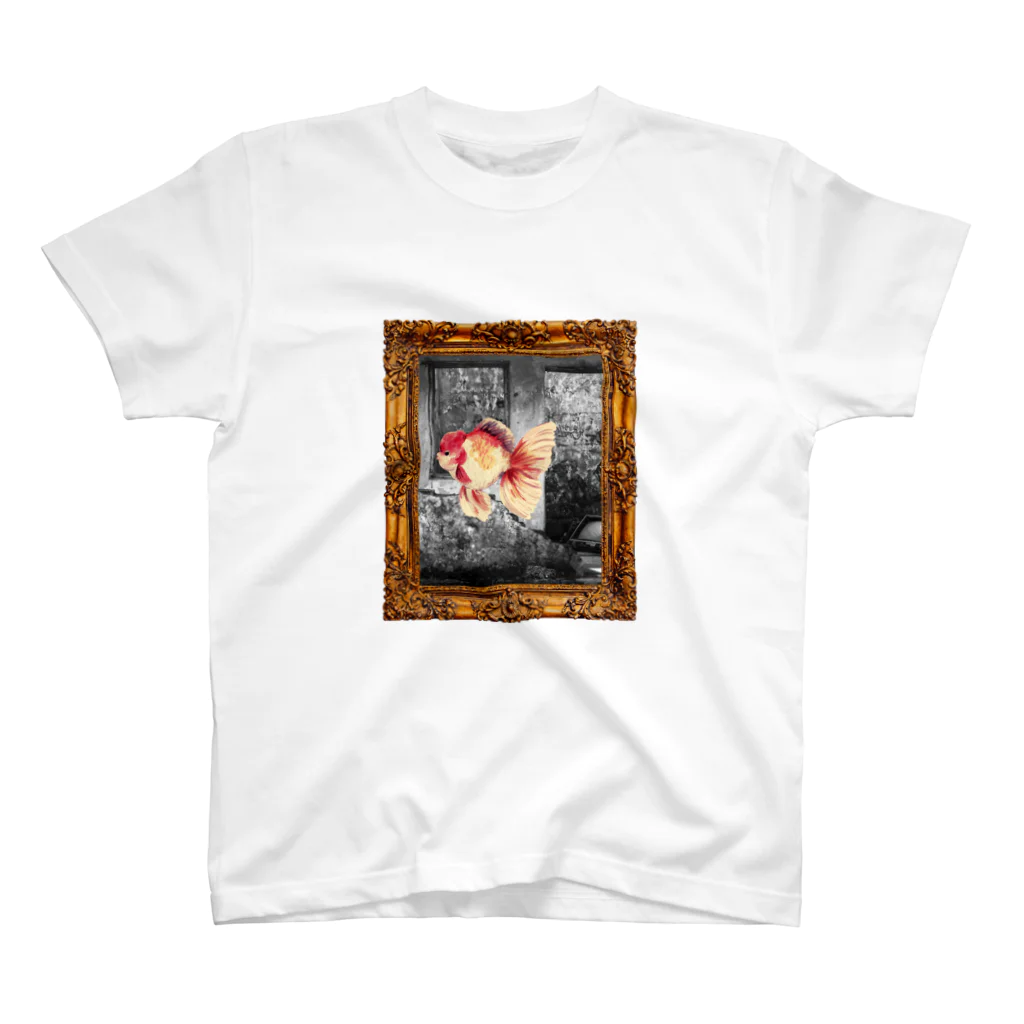 Picture Frameの額縁:金魚 スタンダードTシャツ