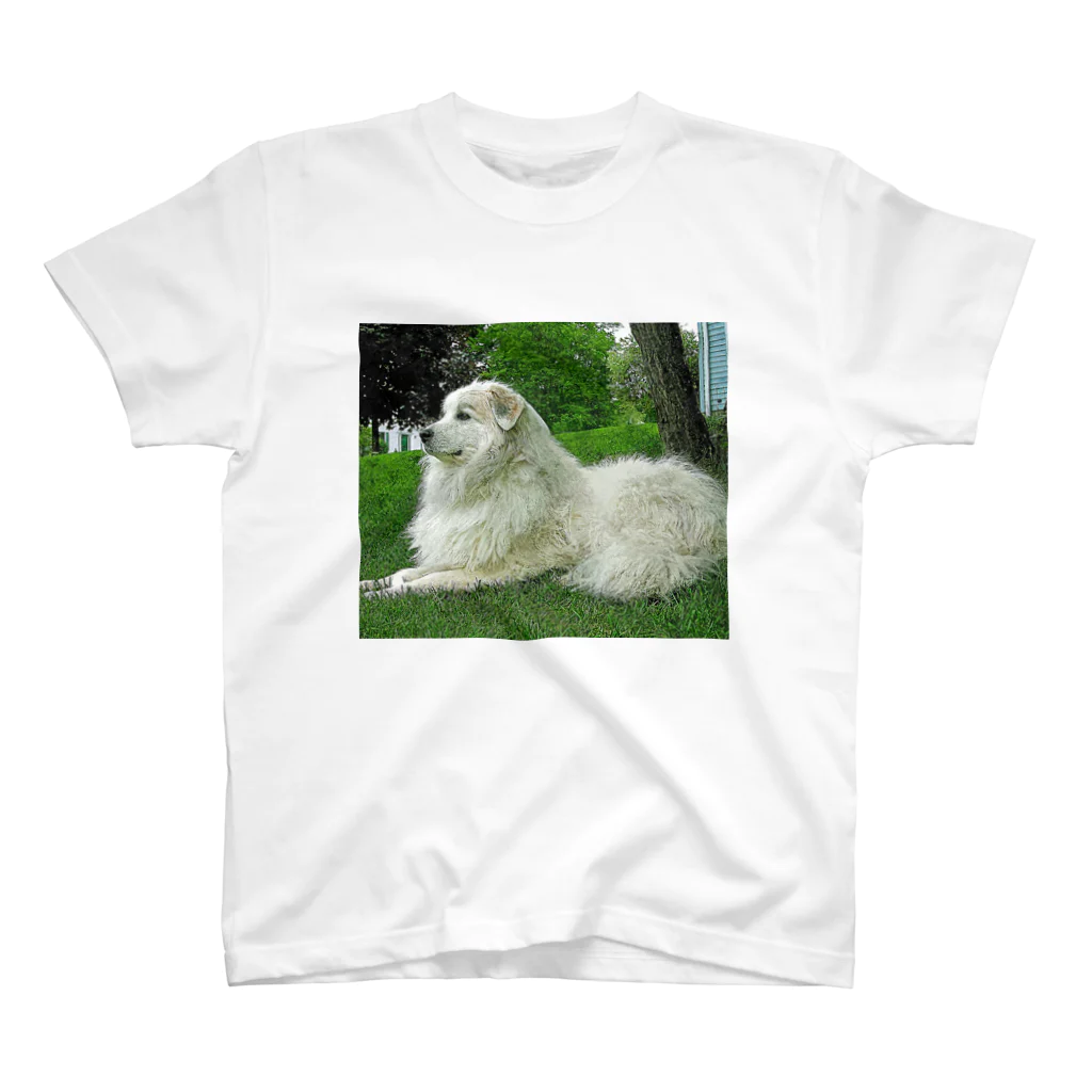 【CPPAS】Custom Pet Portrait Art Studioの優雅なグレートピレニーズドッグ Regular Fit T-Shirt