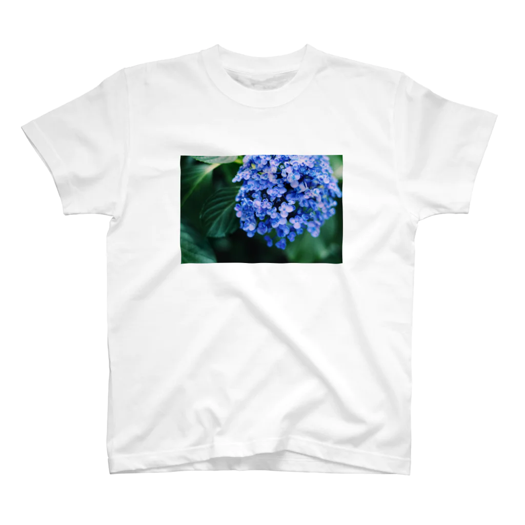 憧憬写真館のHydrangea スタンダードTシャツ