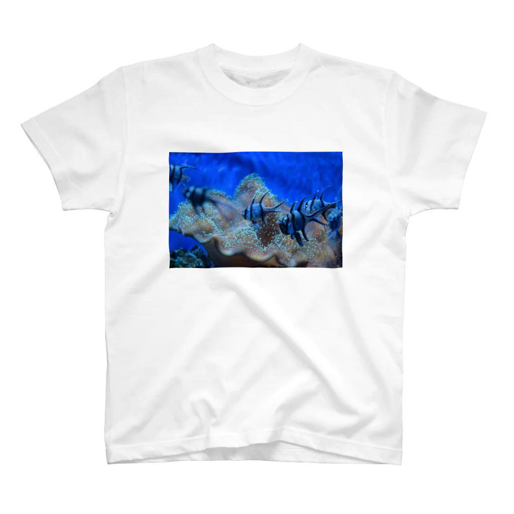 天秤座の星空の魚 Regular Fit T-Shirt