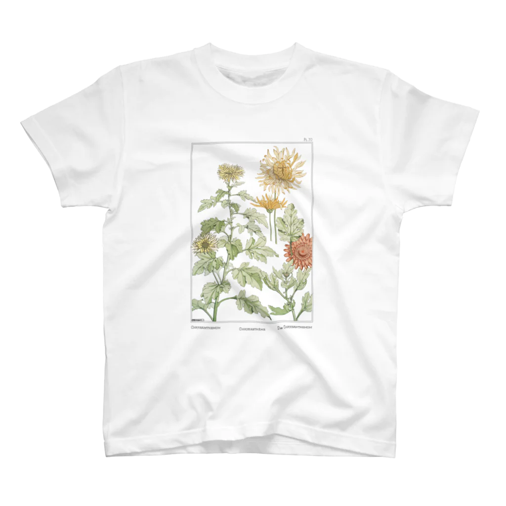 Public Domain GraphicのChrysanthemum (1896) スタンダードTシャツ