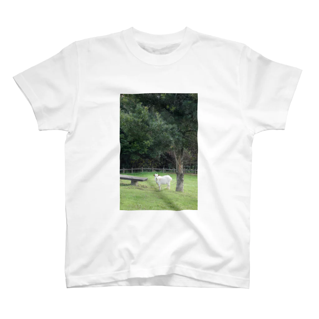 IROIRO-OHANAの木陰のやぎ スタンダードTシャツ