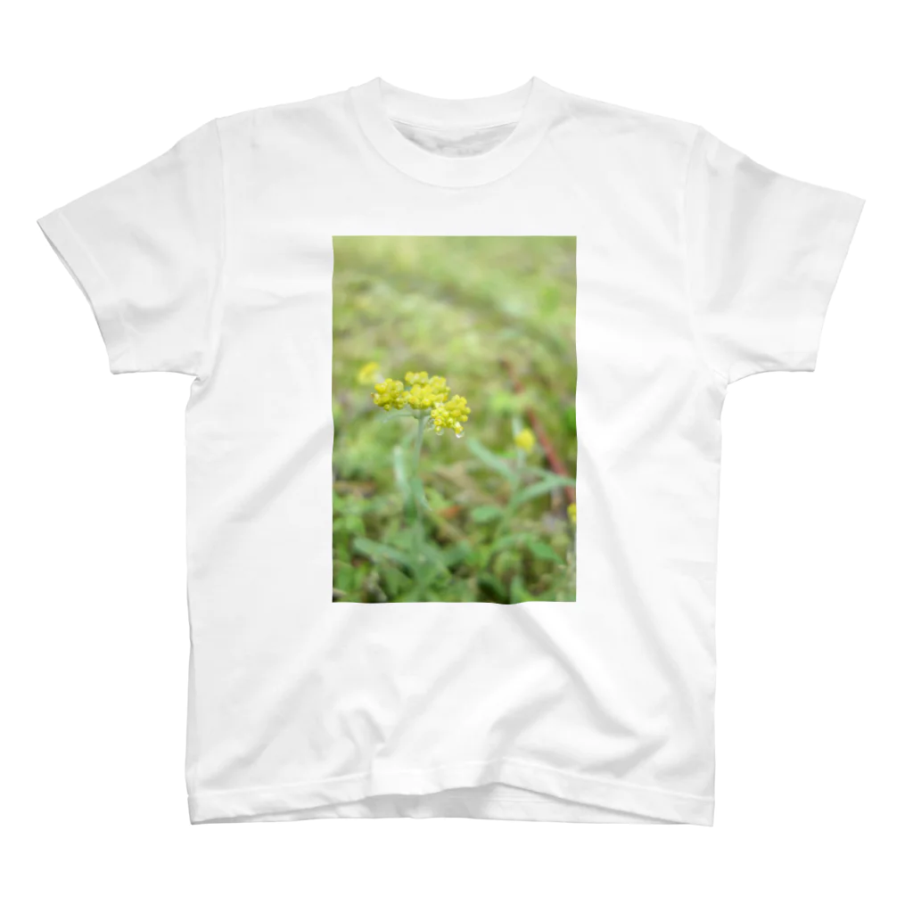 IROIRO-OHANAのしずく Regular Fit T-Shirt