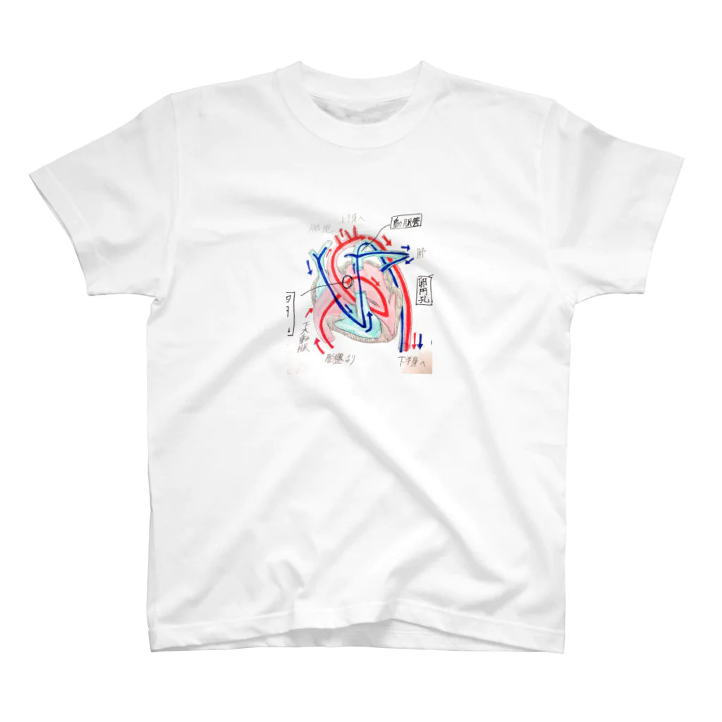 horohoroの胎児の血液循環 スタンダードTシャツ