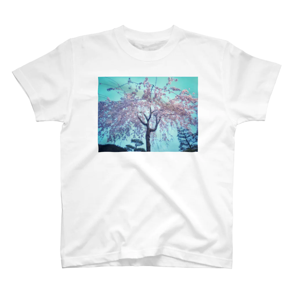 rainbow94の枝垂れ桜 Regular Fit T-Shirt