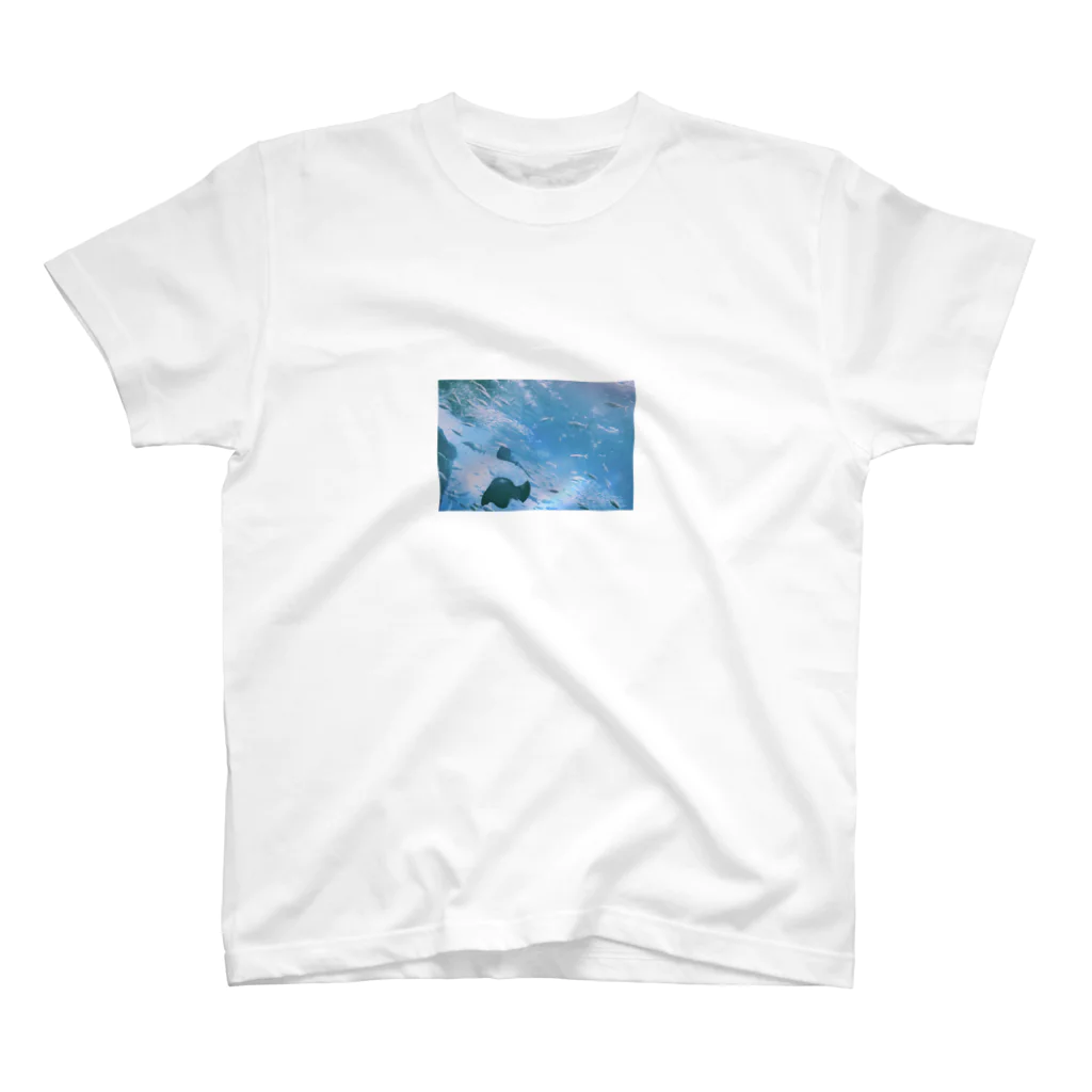 薬売りさんのSea. スタンダードTシャツ