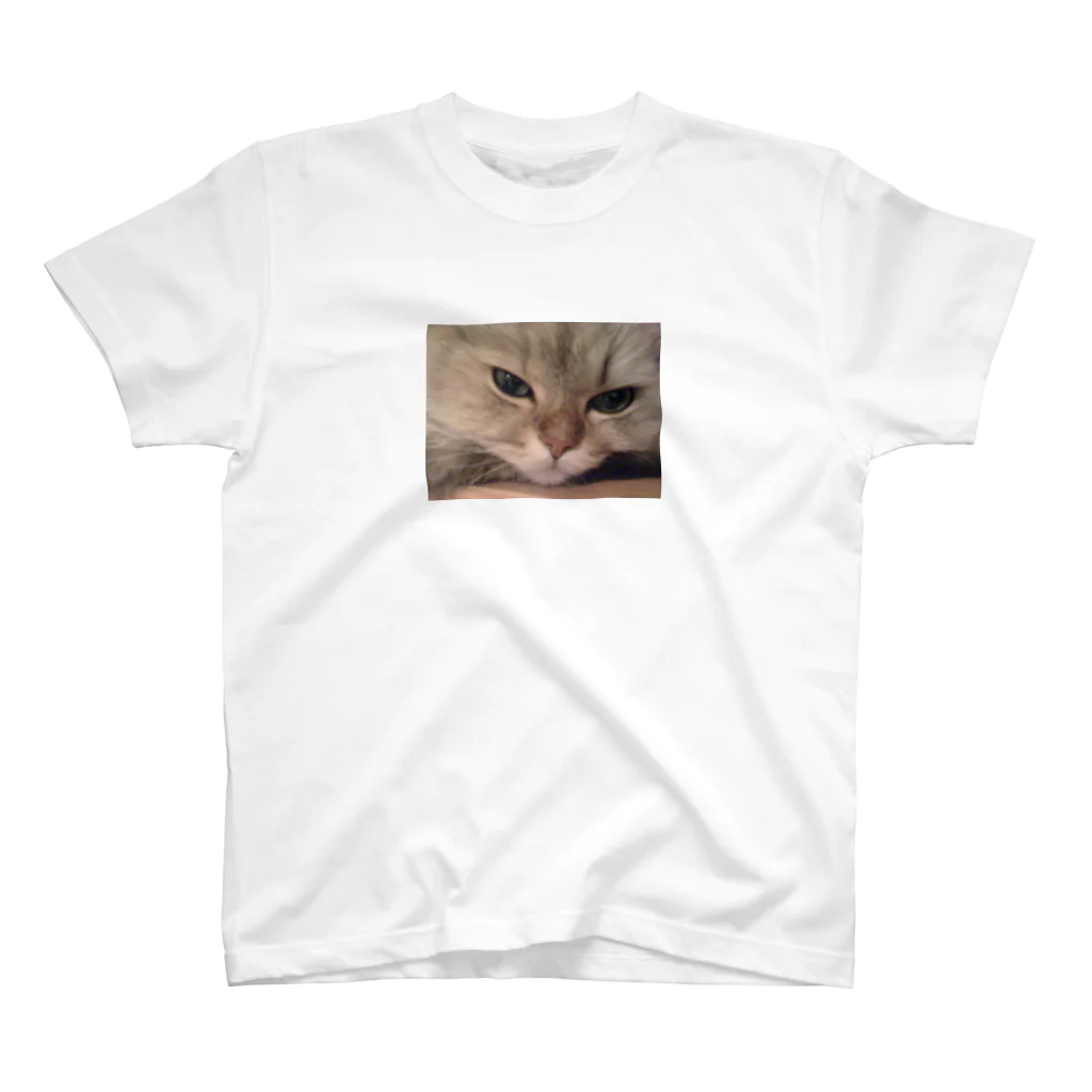 dac0001の愛猫モモのどアップ画！ スタンダードTシャツ