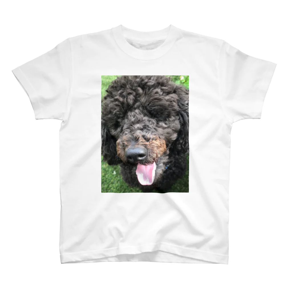 ノラうさきゅん☆のもふもふ犬トイプードル スタンダードTシャツ