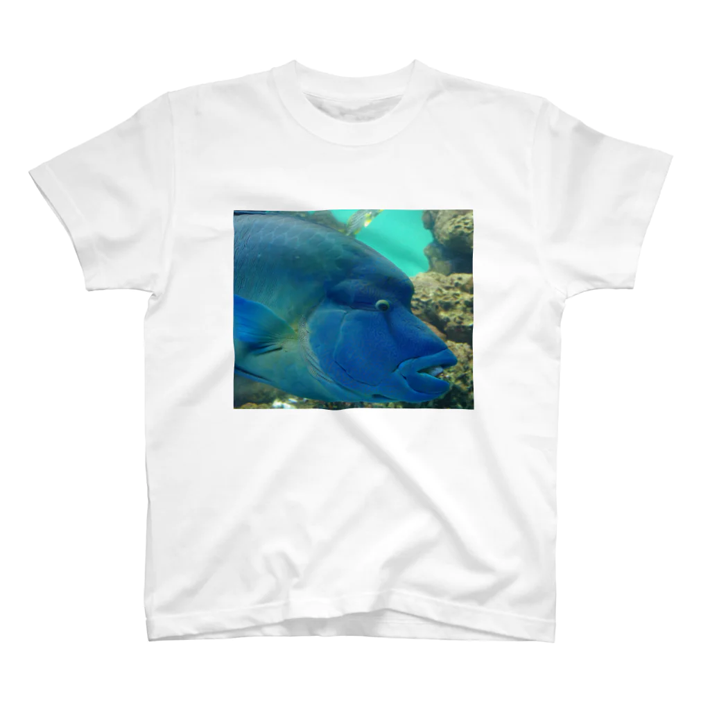 ビーンズ(´・∀・｀;)のFish! Regular Fit T-Shirt