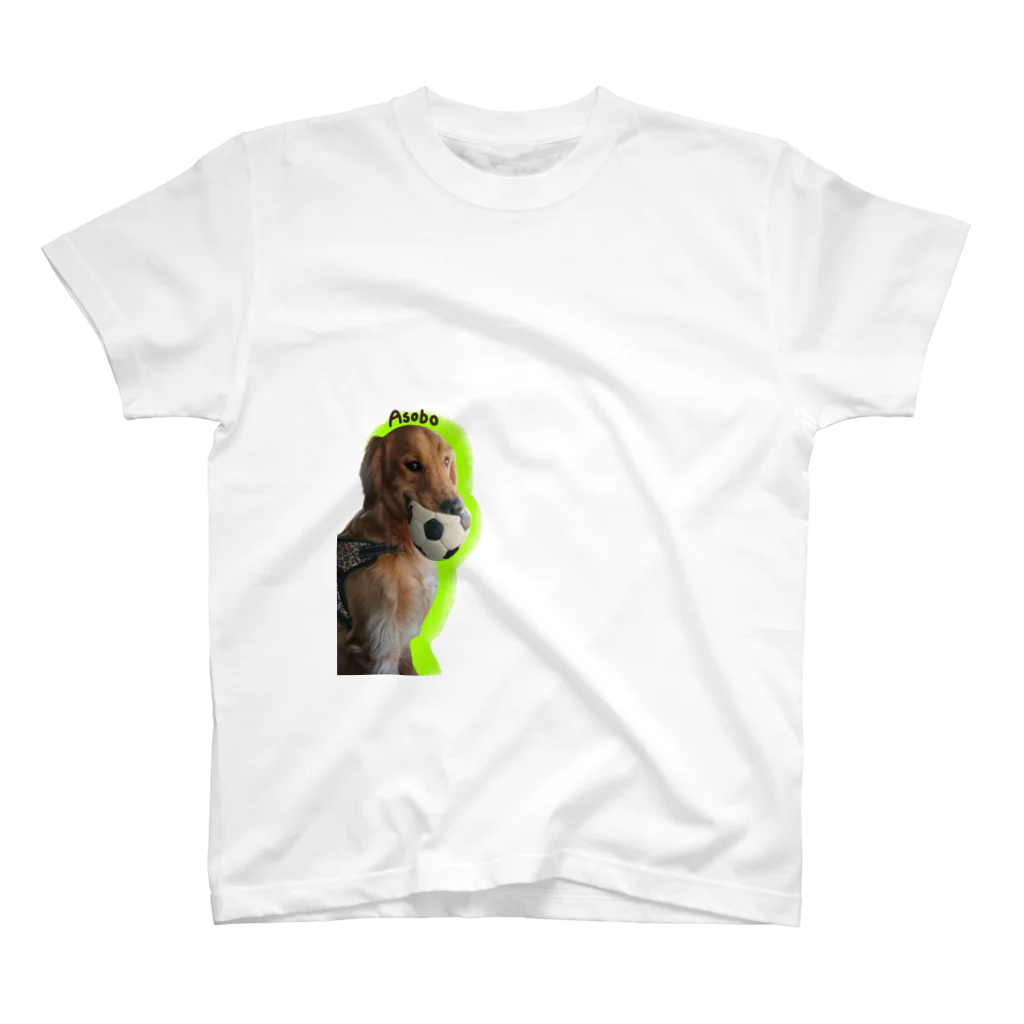 犬のだいあんのボール大好き大ちゃん Regular Fit T-Shirt