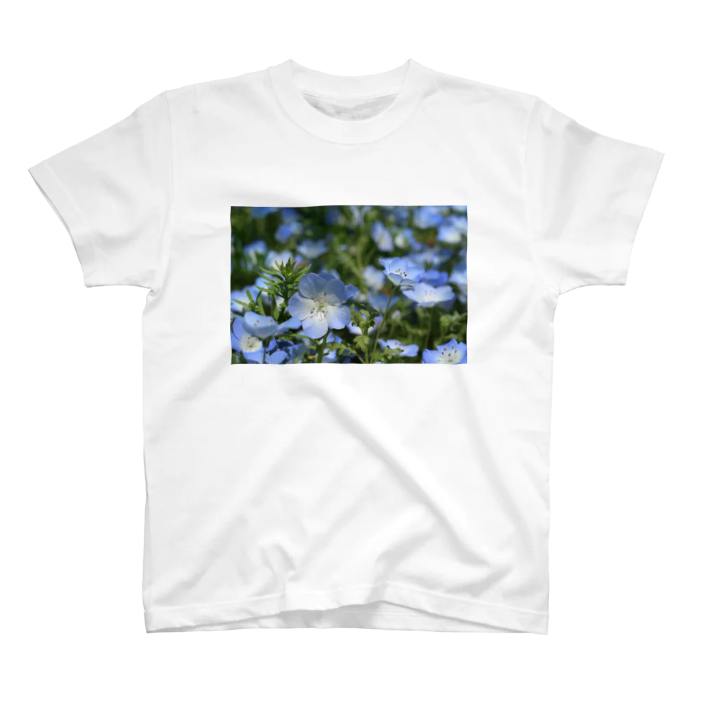 るかちしょっぷのNemophila スタンダードTシャツ