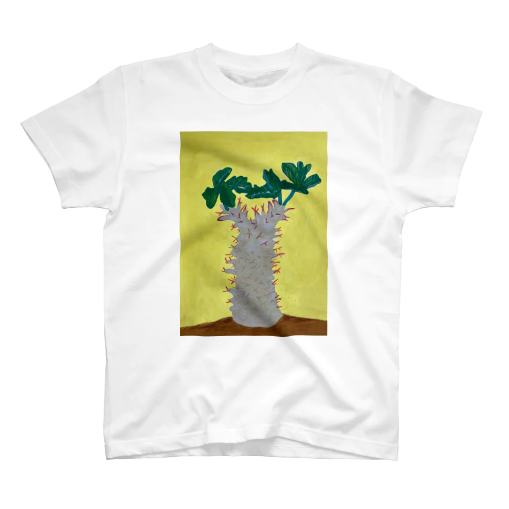 ルミリンネの多肉植物 y スタンダードTシャツ