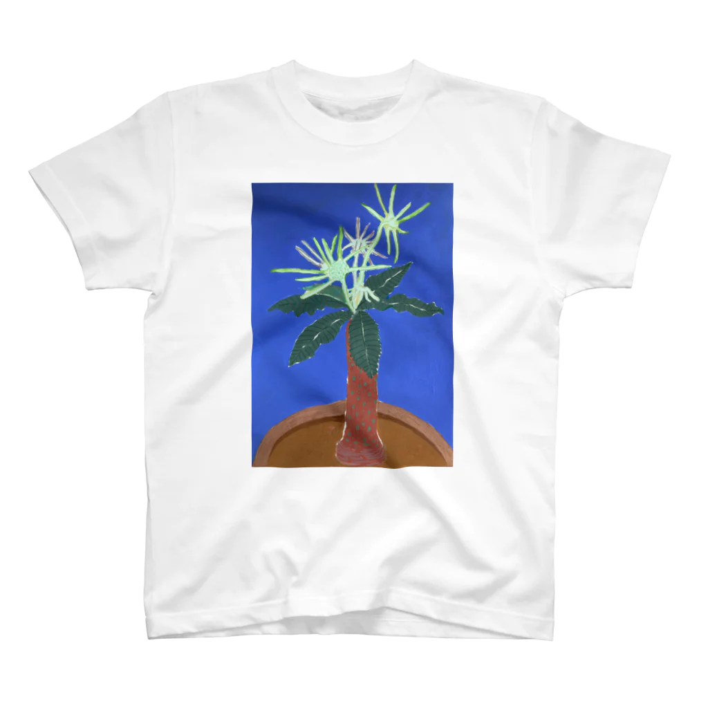 ルミリンネの多肉植物 d スタンダードTシャツ