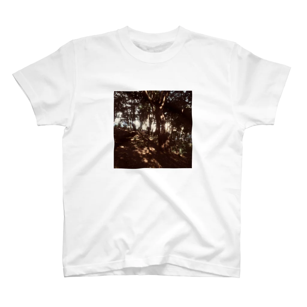 soranoのnatureシリーズ『光の森』 スタンダードTシャツ