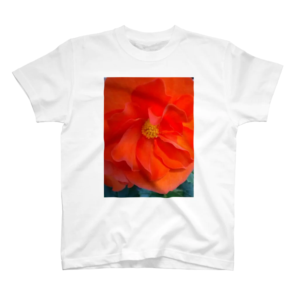 Dreamscape(LUNA)の太陽の様に Regular Fit T-Shirt