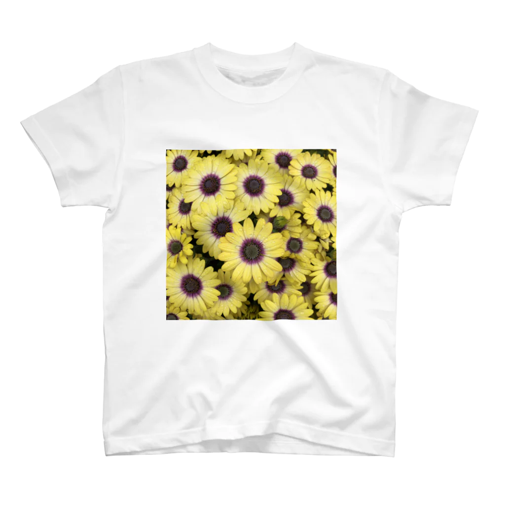 N-Photography のYellow Flowers 1 スタンダードTシャツ