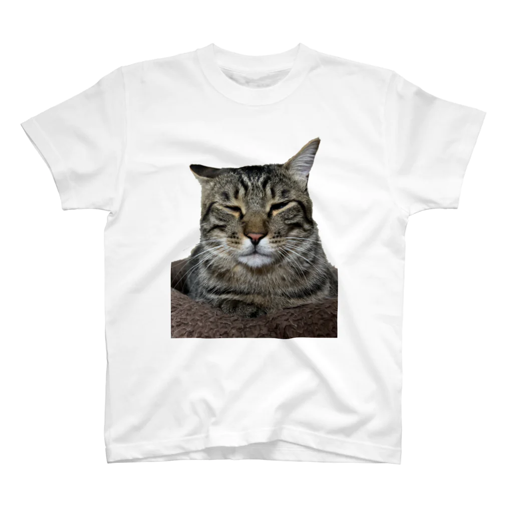 ねこいぬやのてとら Regular Fit T-Shirt