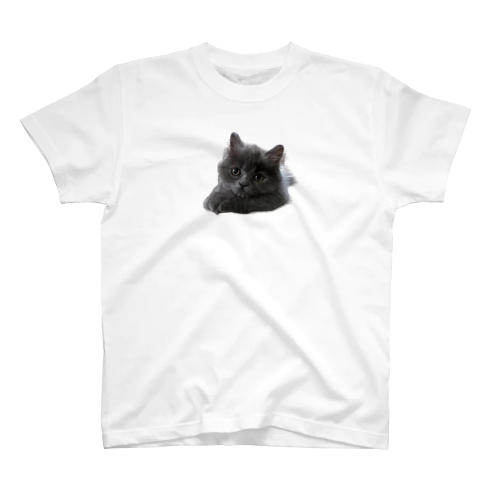 sua_britishblueの子猫のスアちゃん スタンダードTシャツ