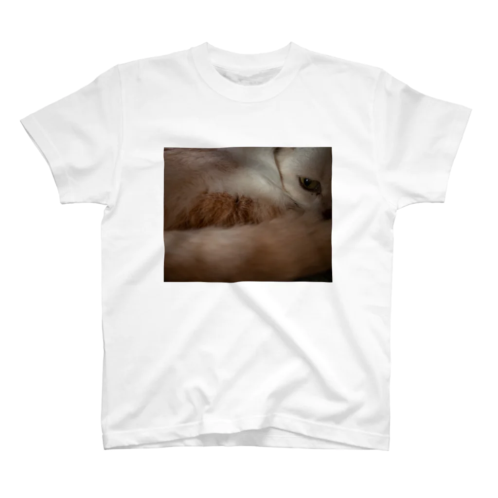 sanada_yurikoの猫のめぢから Regular Fit T-Shirt