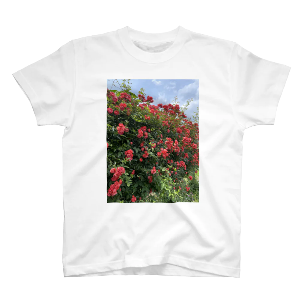 Zunco☺︎のrose garden🌹 スタンダードTシャツ