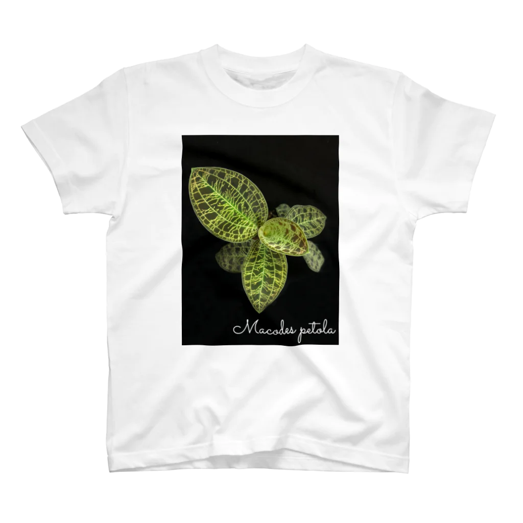 はらぺこプリマスのMacodes petola Regular Fit T-Shirt