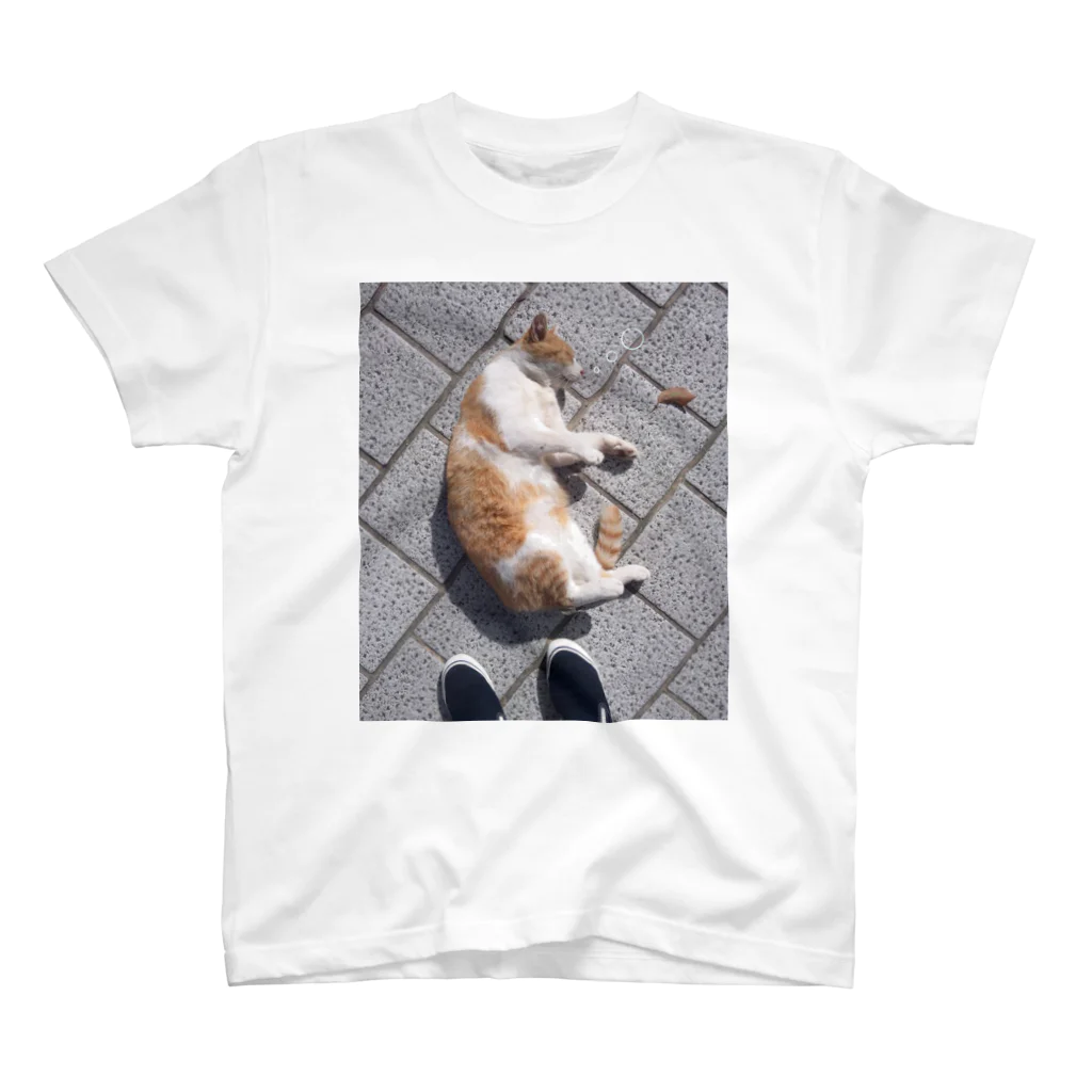 とりちゃん。の余韻に浸るのらねこ スタンダードTシャツ